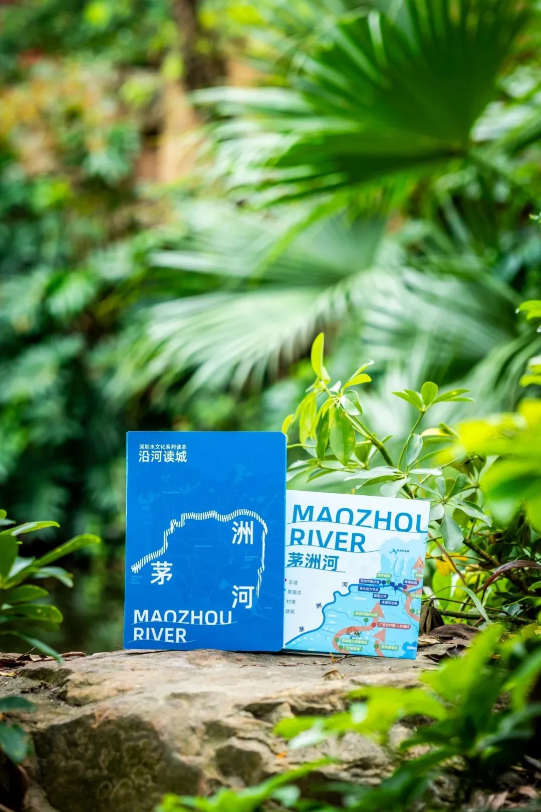 白菜编书 | 历时一年多的读本