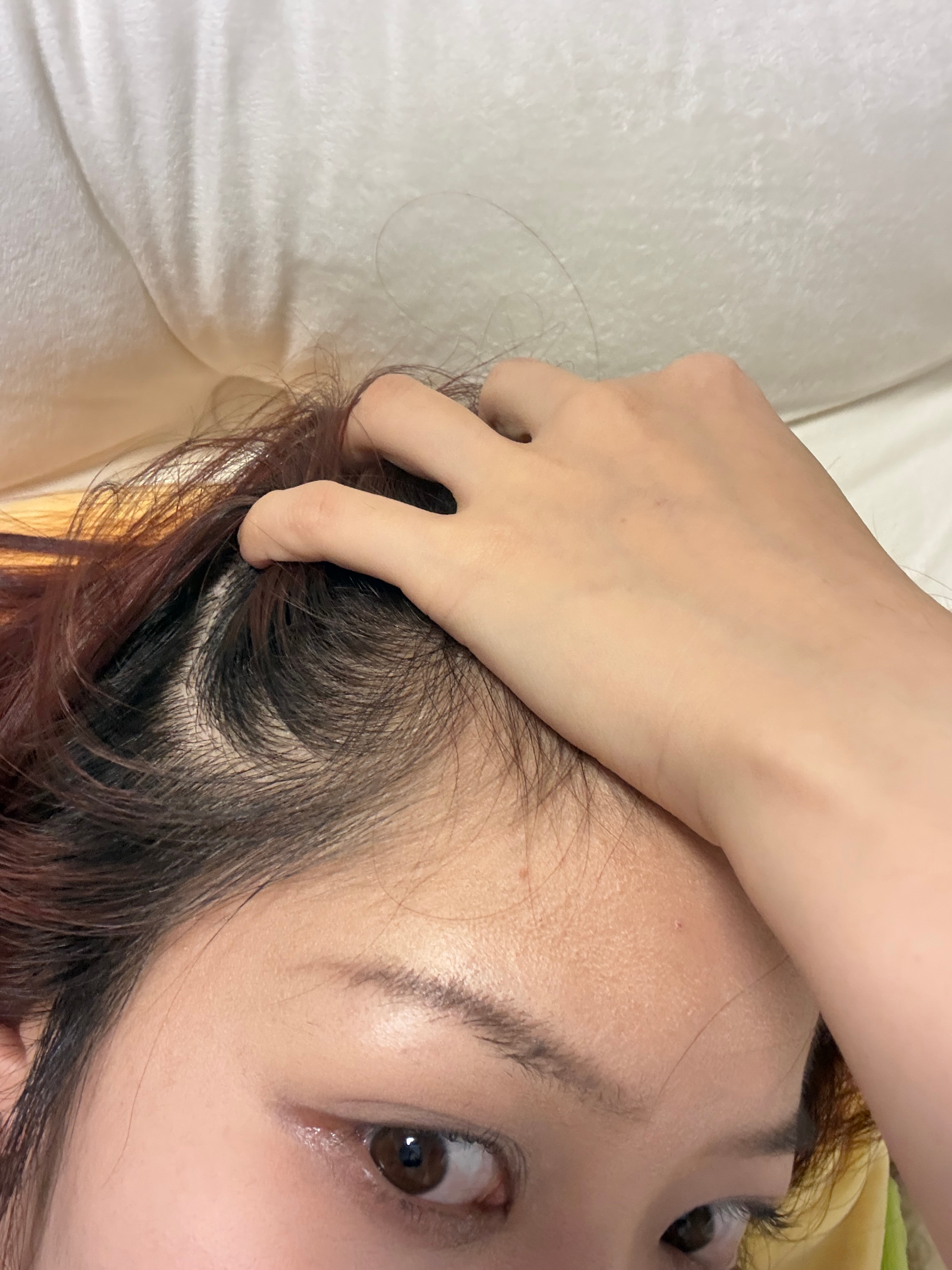 想染头发了，感觉变黄了，发根也黑了 ​​​