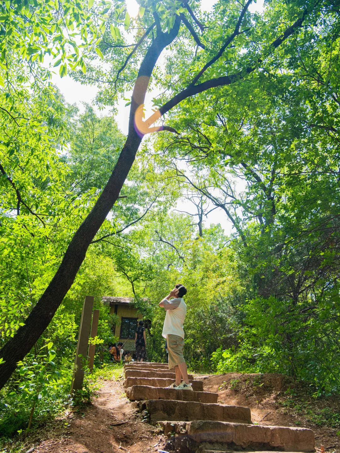 谁能拒绝大自然呢！徐州最美徒步路线