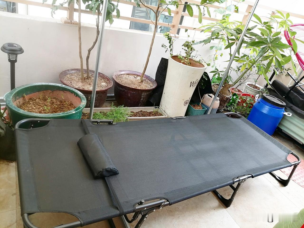 我刚刚解锁了阳台新功能:晒背！

现在有了阳台这么一方小天地，而且独属于我，除了