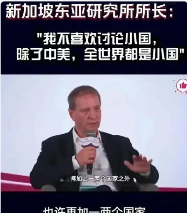 语出惊人！美国教授新加坡论坛放话：除了中美，全世界都是小国！你有没有想过，有人敢
