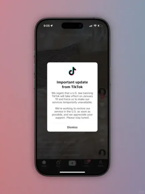 TikTok ban takes effect from the 19th