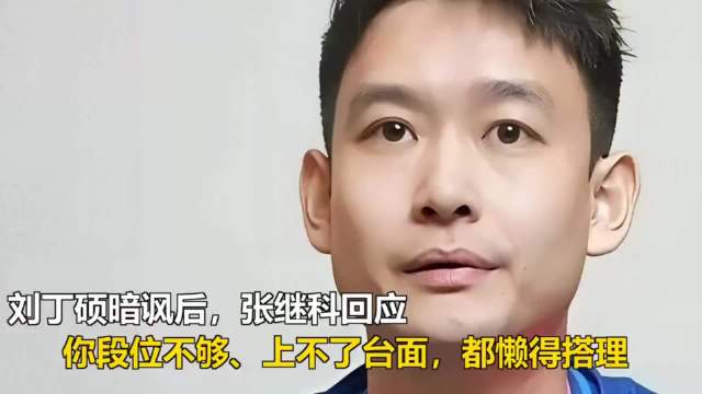 伤害性不高侮辱性极强！在遭到刘丁硕暗讽后，张继科在直播时也是进行了霸气回应：你段位不够、上不了台面，