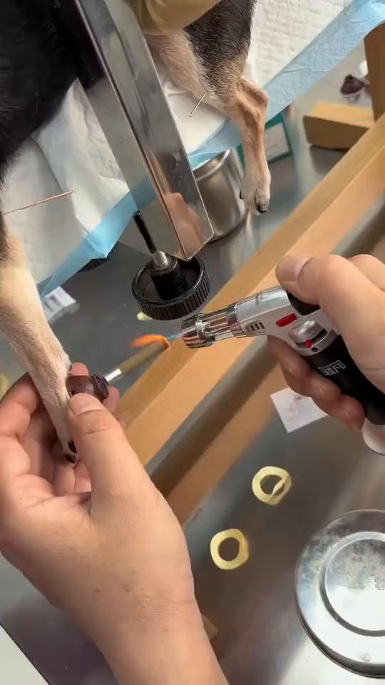 这波操作都看傻了。