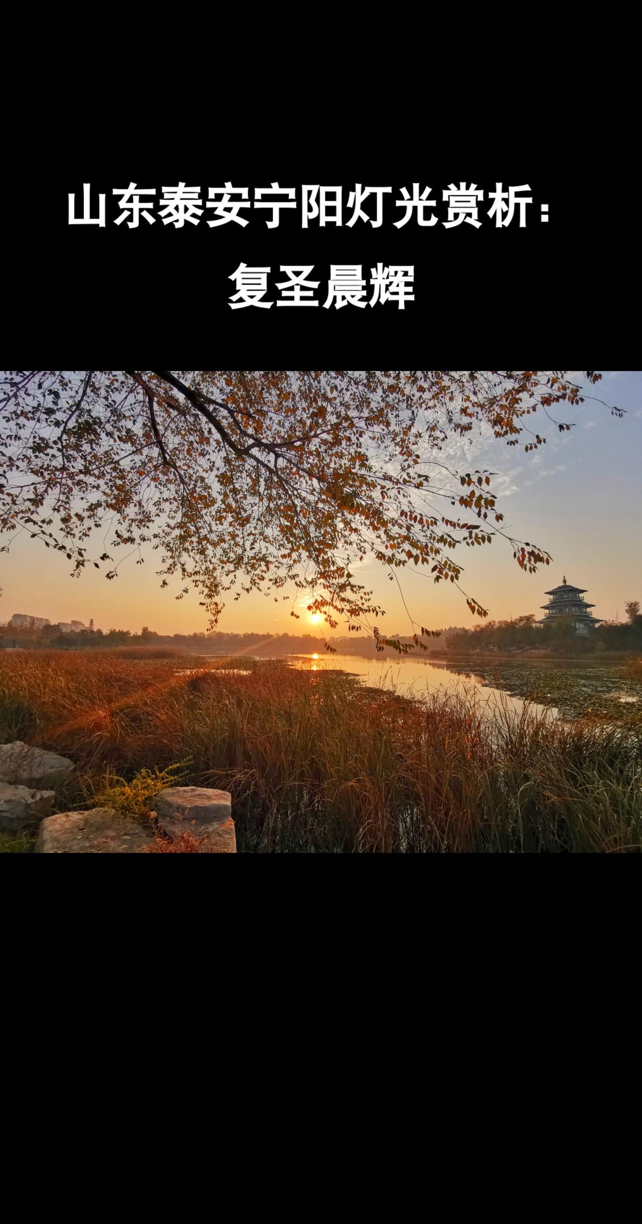#山东#泰山#宁阳#老家#故乡