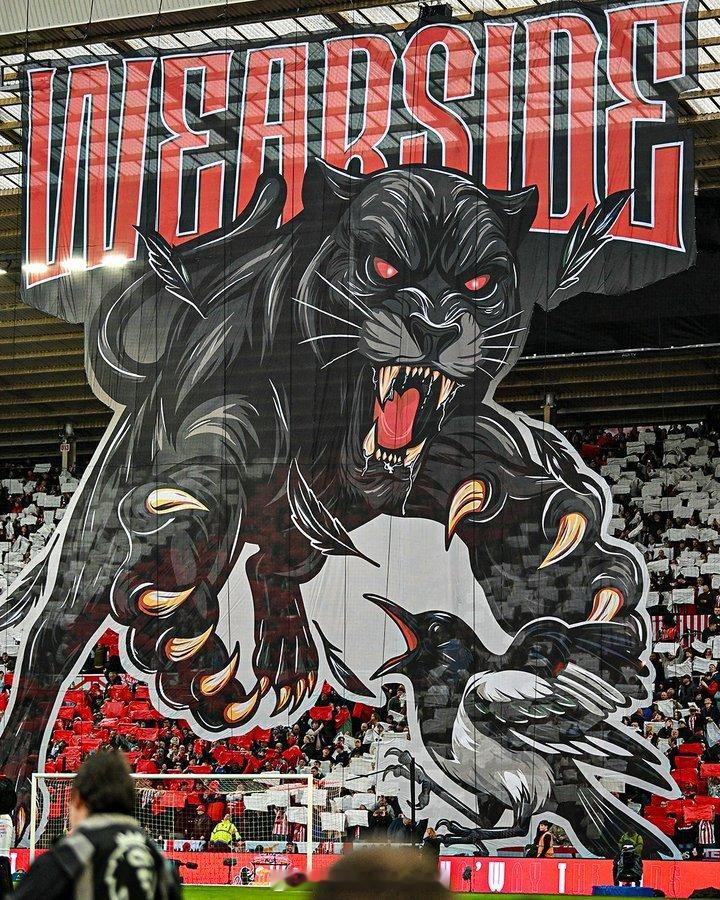 桑德兰球迷拿下了2016年以来英超联赛中的首场泰恩-威尔德比 桑德兰1比0纽卡斯