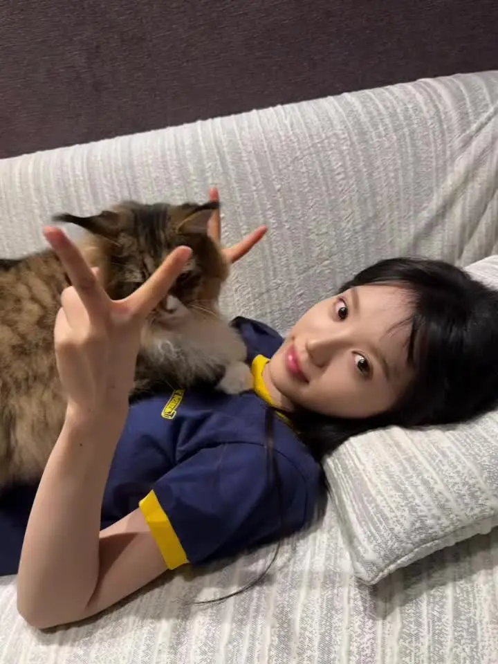 田曦薇