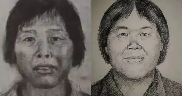 “梅姨案”见证反拐治理不断进步，最后1名被拐儿童2年前被找到