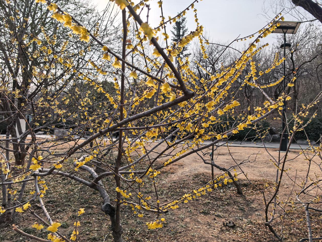 晒图笔记大赛越来越好。