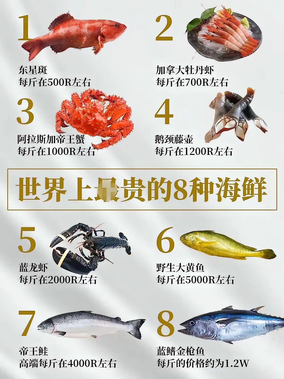世界上最贵的八种海鲜 