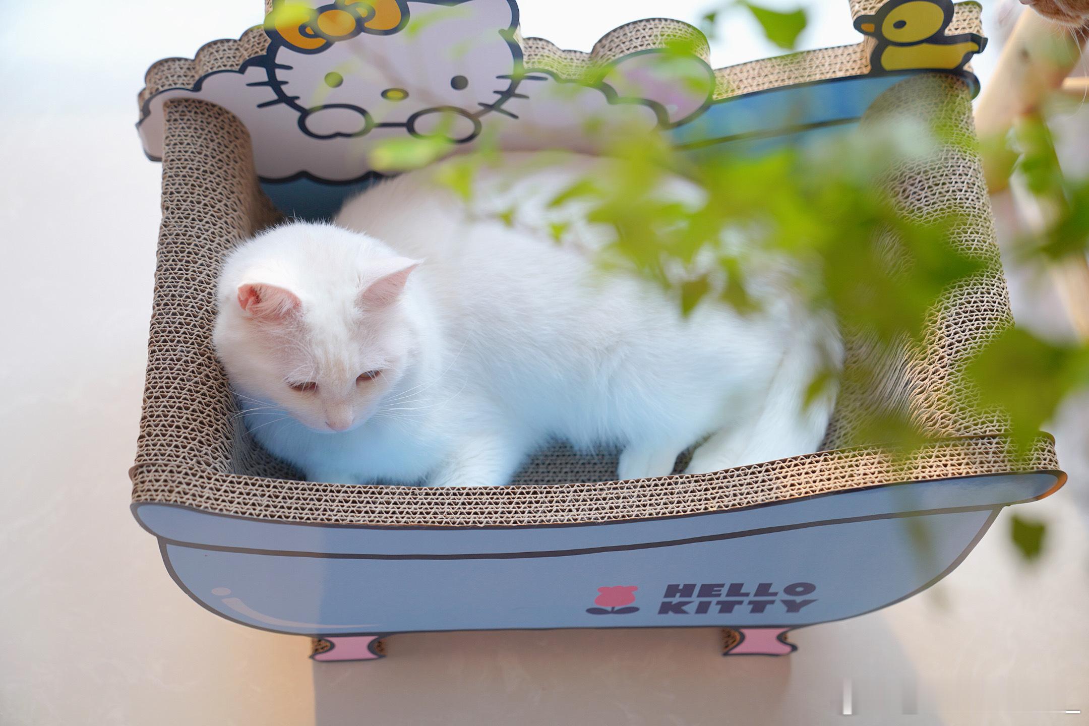夏天里的美好瞬间~ ​​​