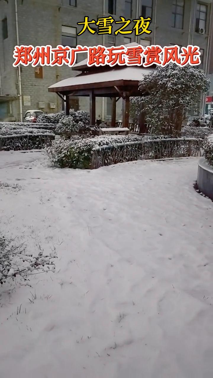 大雪之夜，郑州京广路玩雪赏风光。