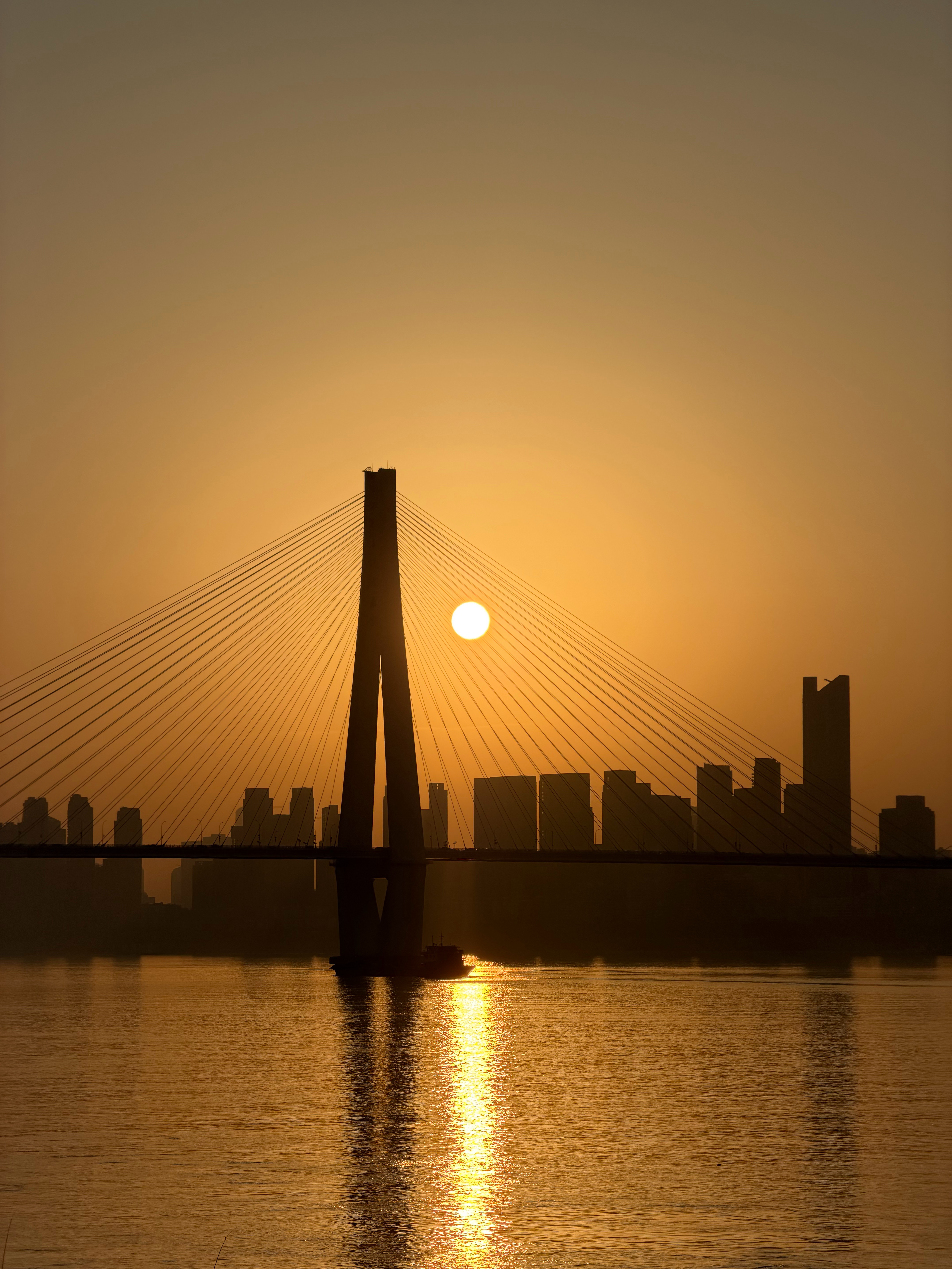 开始新一年的奔波 