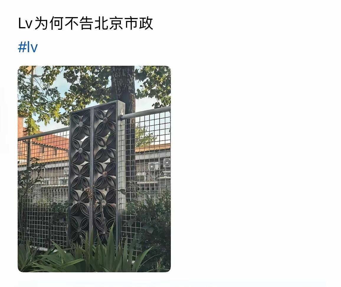 LV：谢谢您的提示，
等下个月，就递状子了啊！

从此以后，我们LV不做生产设计