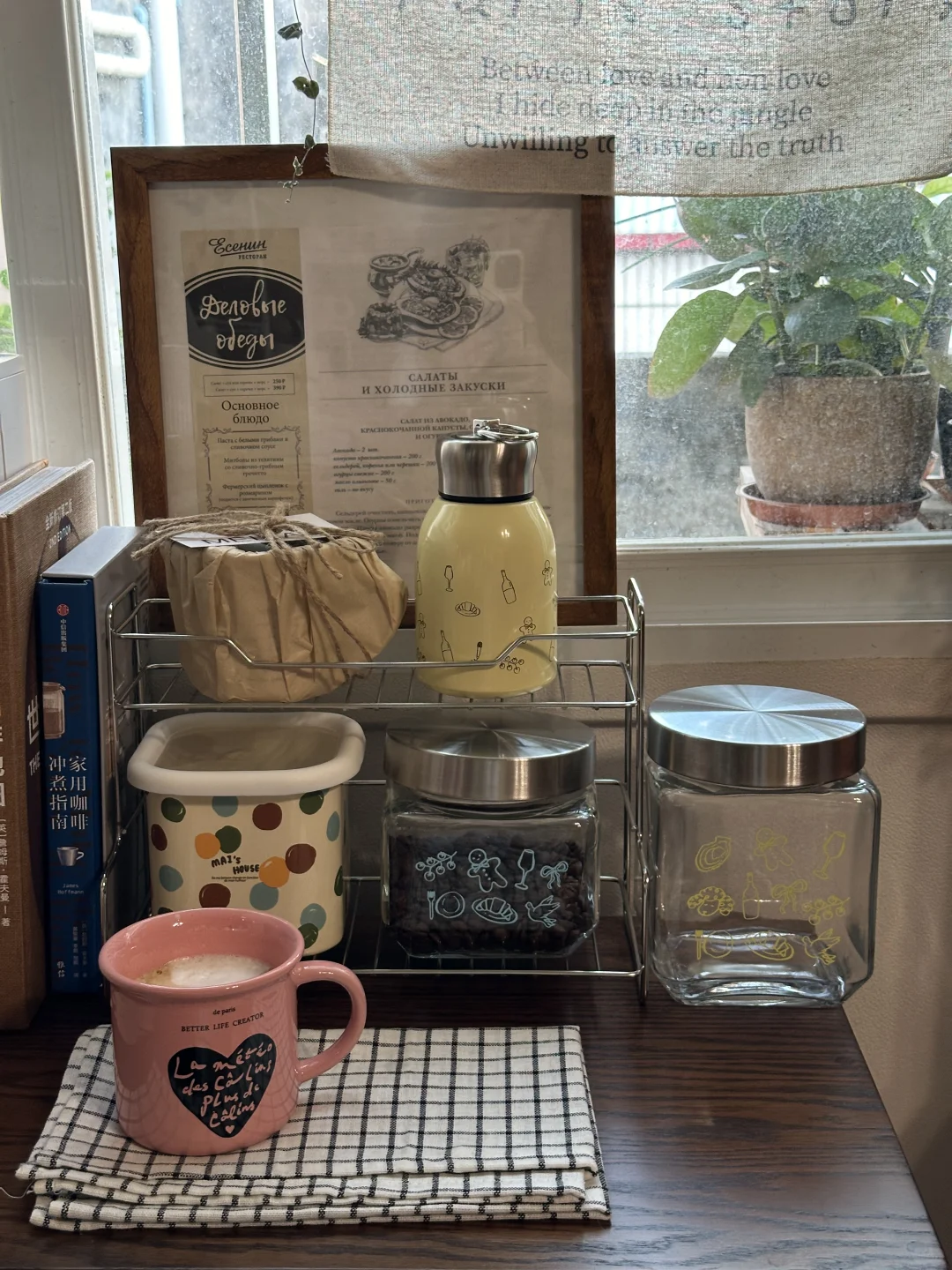 一人一猫的20平出租屋周末live📔🐈‍