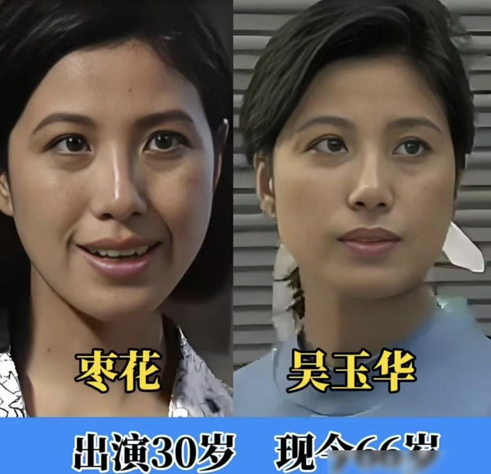 37年后再刷《篱笆女人和狗》，我浑身一哆嗦，当年最恨的枣花，活得最清醒。
你再
