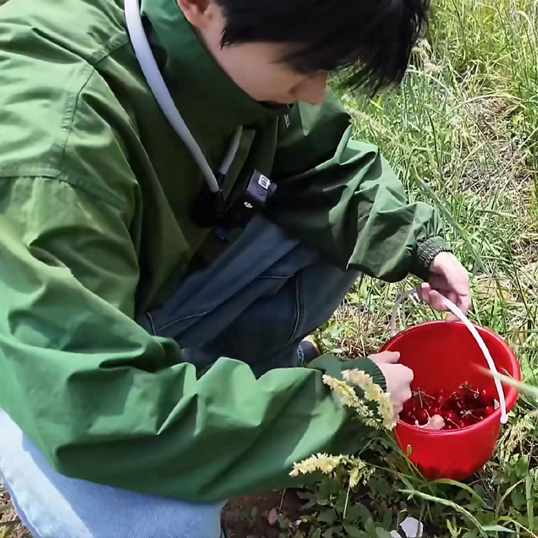 这奶爸说摘多点回去给笑笑吃 
