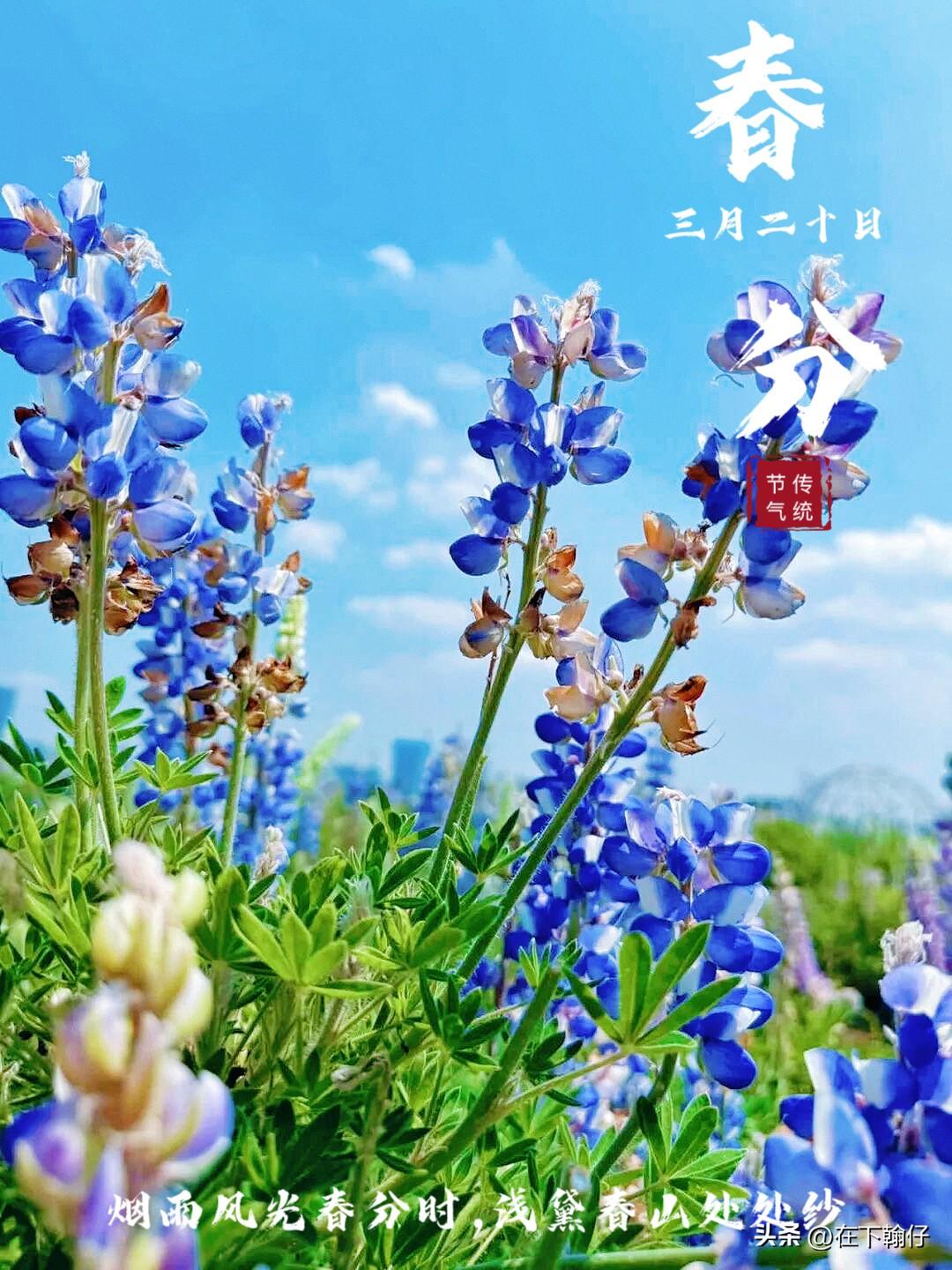 我们之前的仪态培训中提到过许多类似的内容，归纳来看，要在短时间内提升气质，核心在