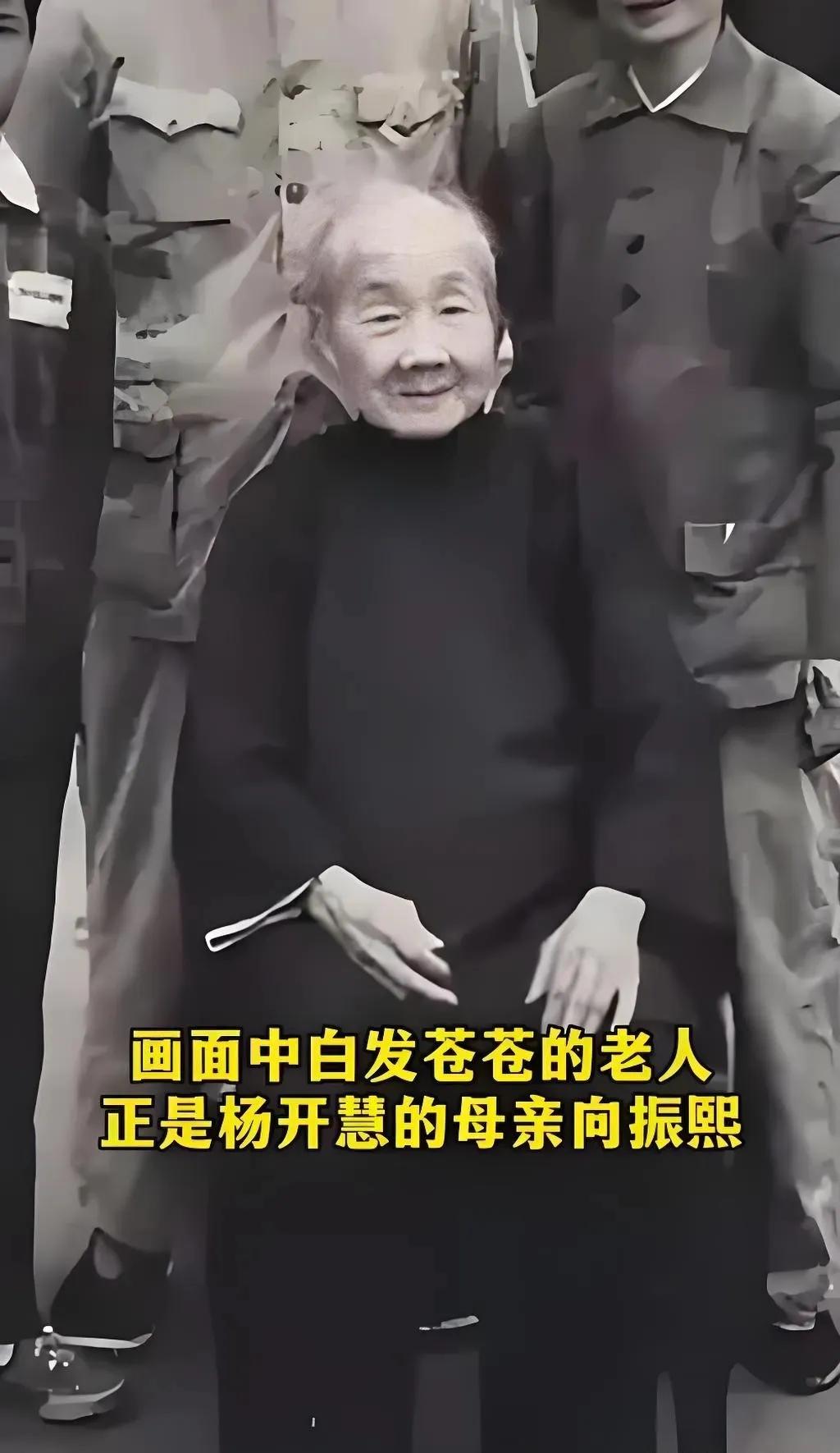 1949年，长沙解放那天，杨开慧的母亲跑到女儿坟前放声痛哭，向振熙哭的是女儿走后