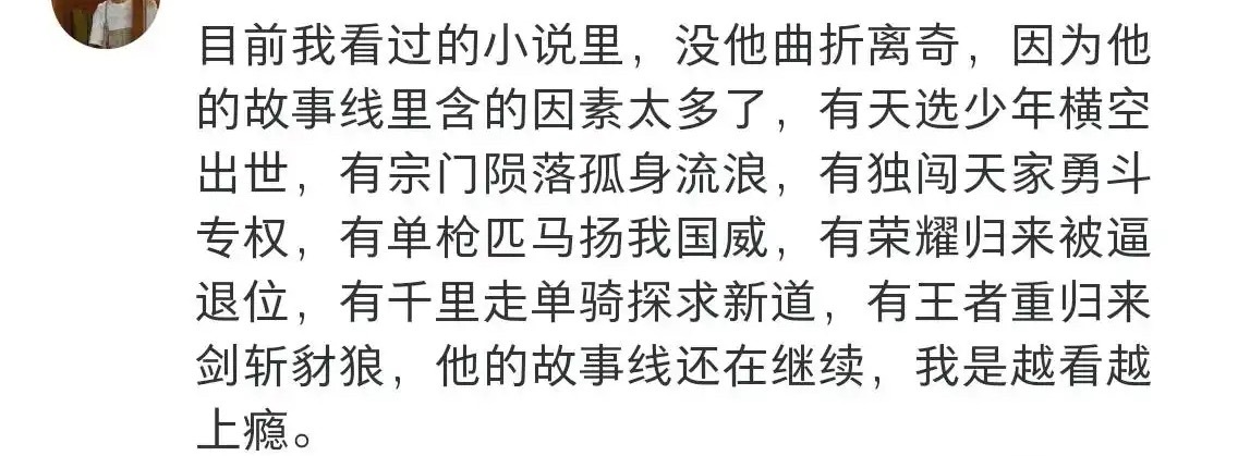 你我都有幸见证虽然爽文背后的痛苦，是不为人道的。