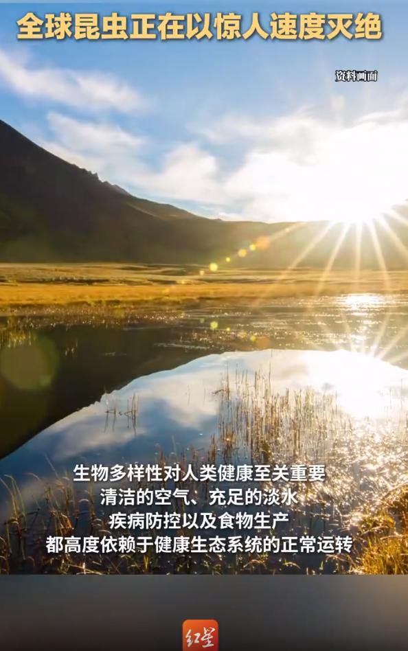 5月12日，一条被很多人忽略的生态预警突然刷屏！

红星新闻援引国际顶刊《自然》