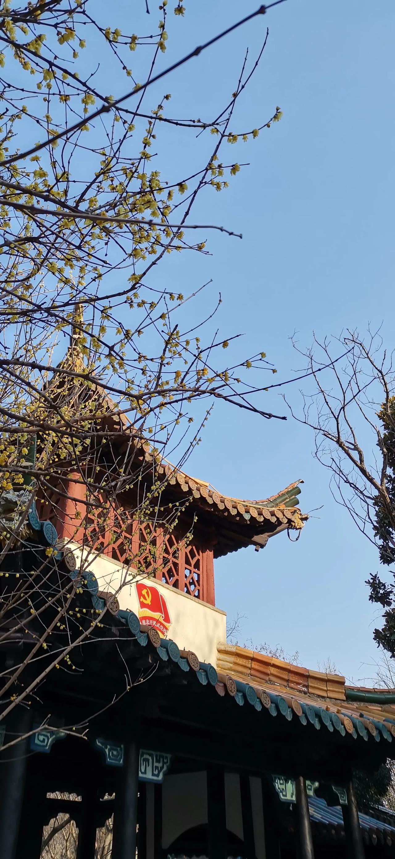 记录花儿的最美时刻