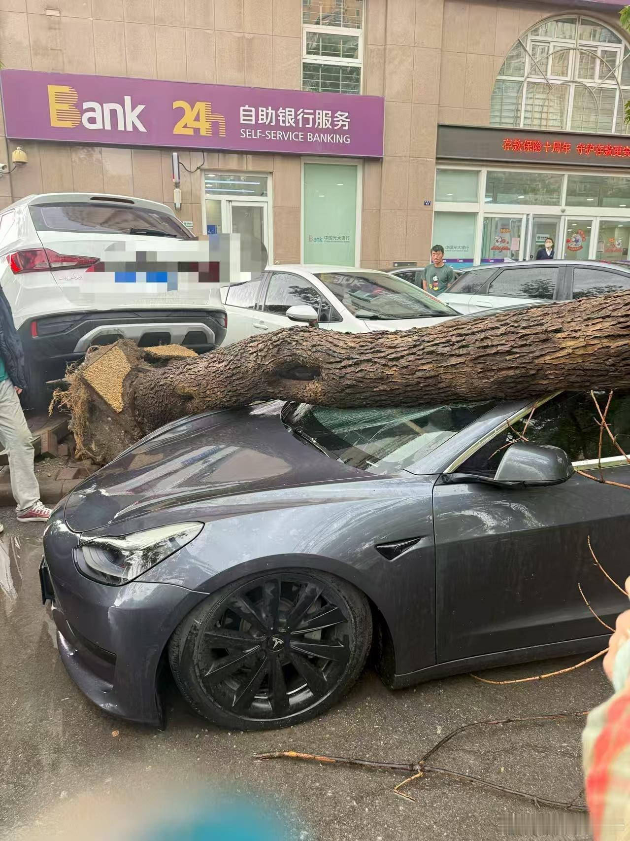 突如其来的大雨大风这是怎么了呀 