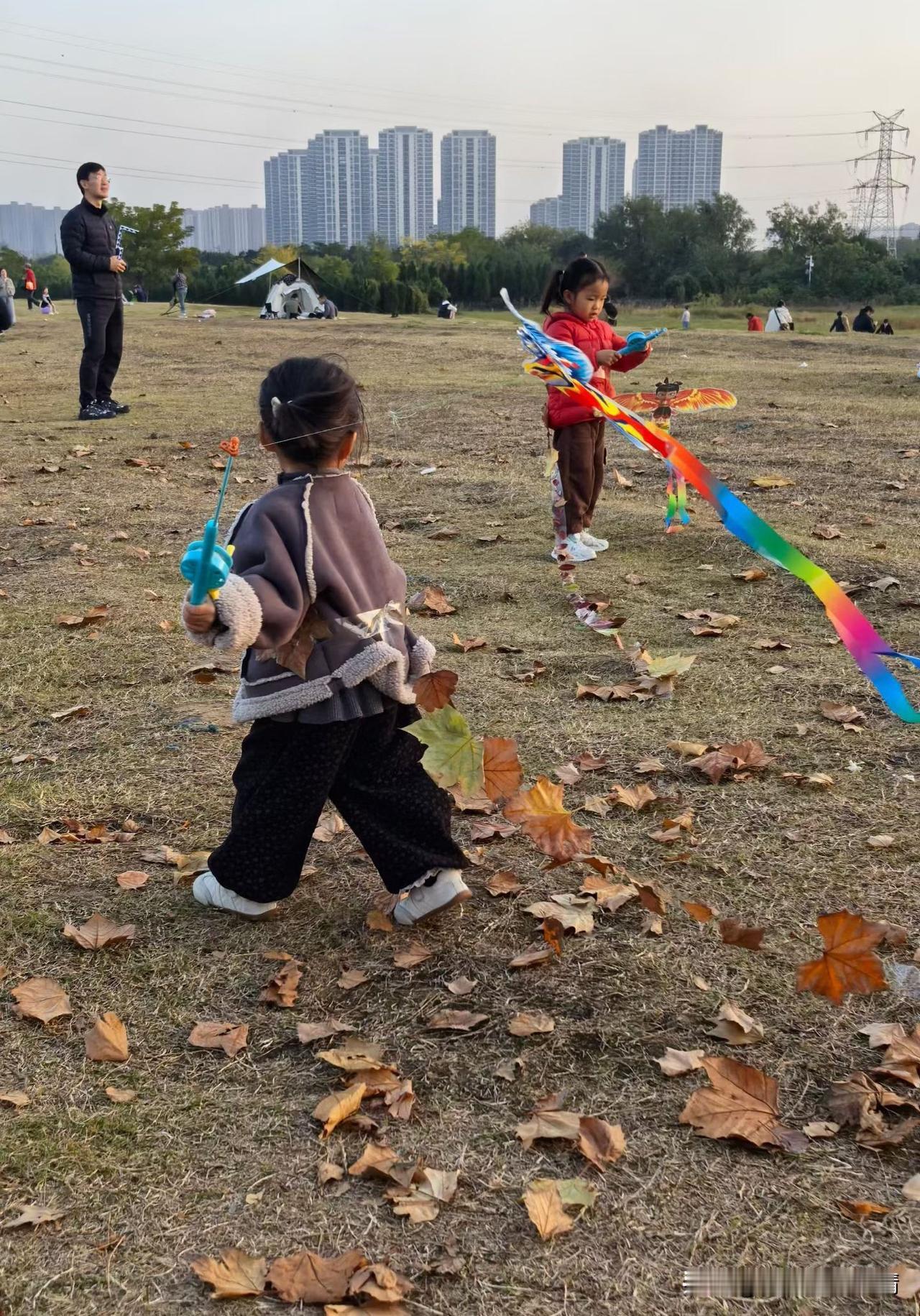 钻空子来到郊外草地转悠转悠，看满地的梧桐叶黄得正好，踩上去沙沙响。俩小不点攥着风