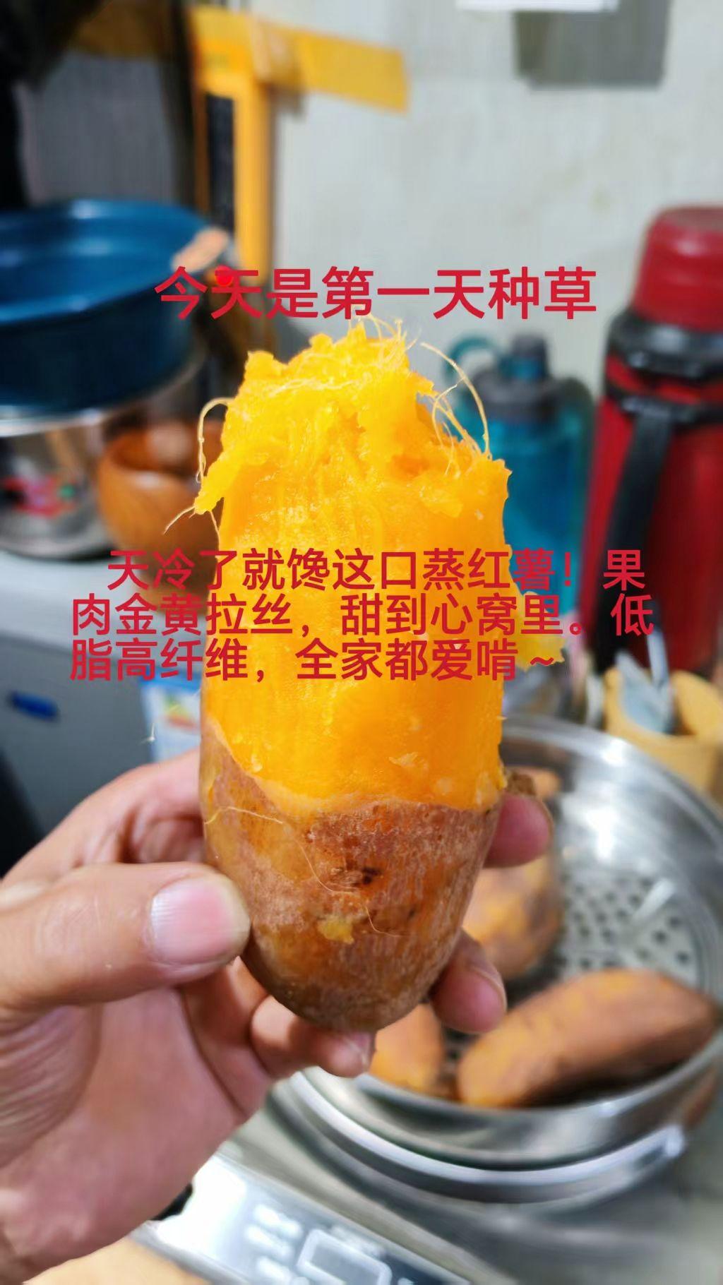 今天是第一天种草，不管怎么样，我每天都要坚持去种，我想种多了，总能有收获。种草激