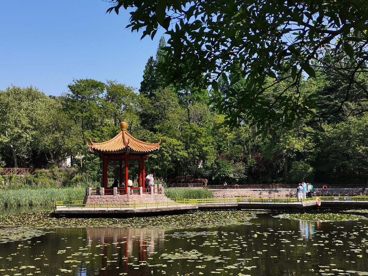晒图笔记大赛阳光明媚，春色满园，走进公园，林翠花艳，有山有水，空气新鲜，一路风景