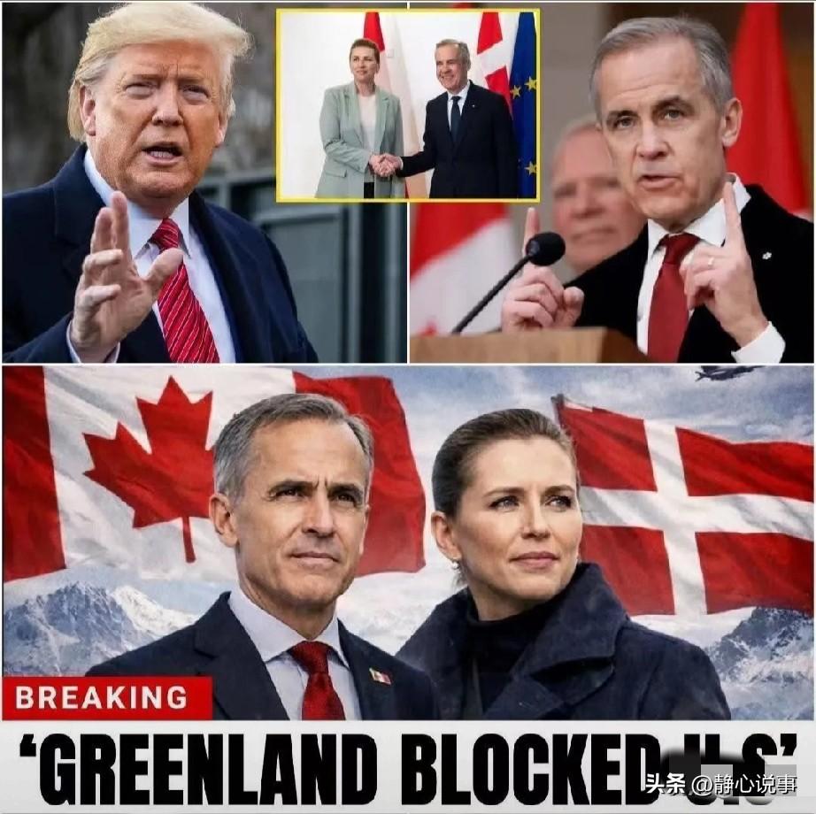 格陵兰局势出现新变动，美国北极战略布局受影响。2026年2月，加拿大和丹麦签署防