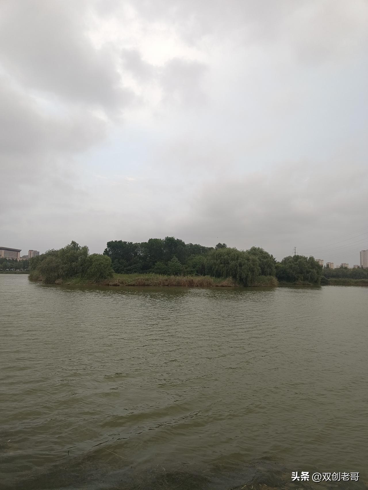 七律·立秋晚风爽（新韵）
半天晴热此时风，时到黄昏秋意成。
漠漠阴云驱夏暑，层层