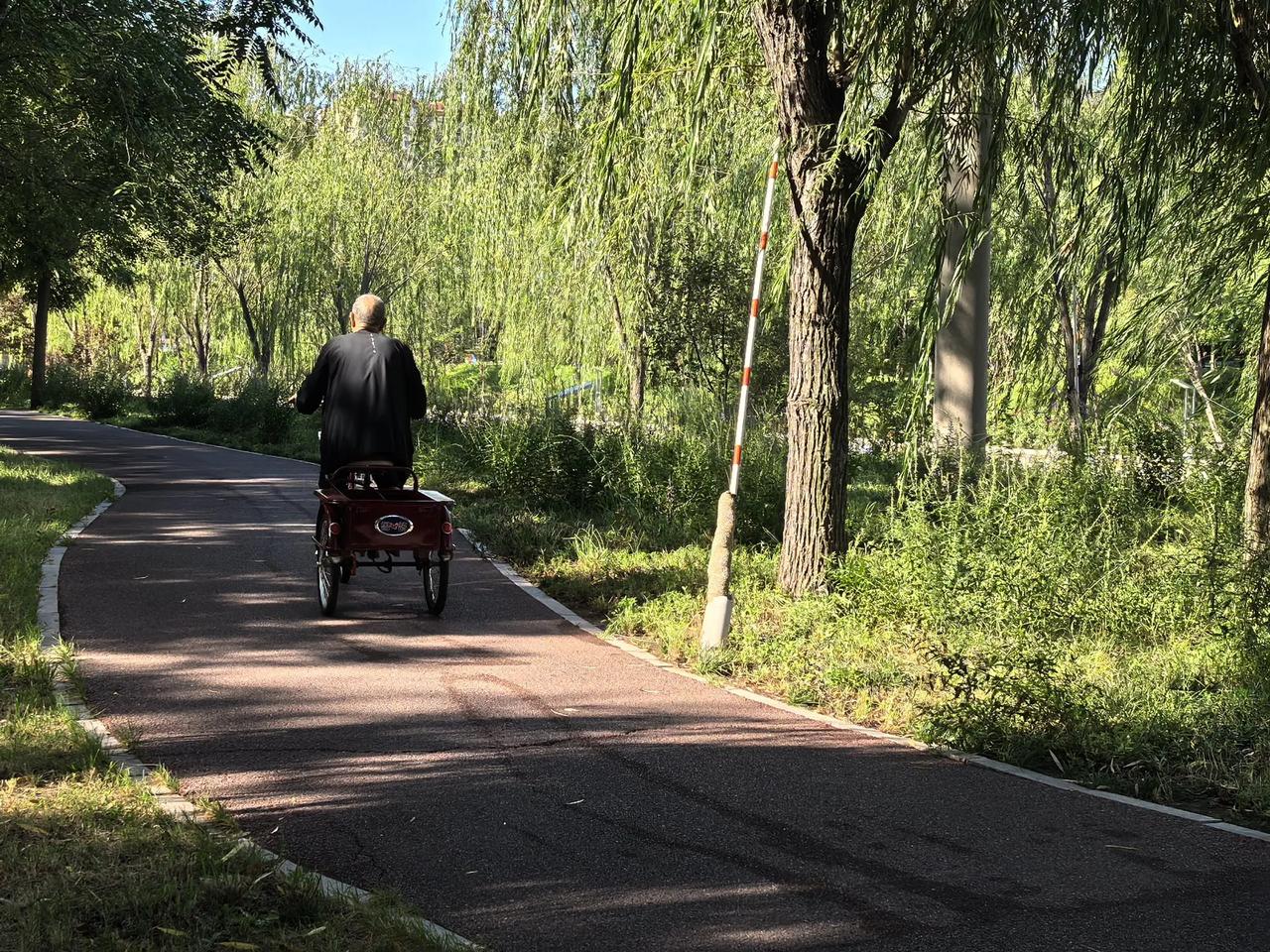 人老了，腿脚行动不便了，这种三轮车就成为不少老年人的代步工具，不仅能够买菜拉货，