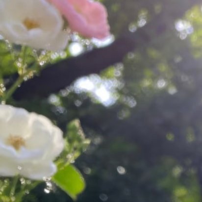 阳光信用 每日一善 当你我的相遇，碰触了彼此的双眸，我在遥想，你我曾经如何许下前