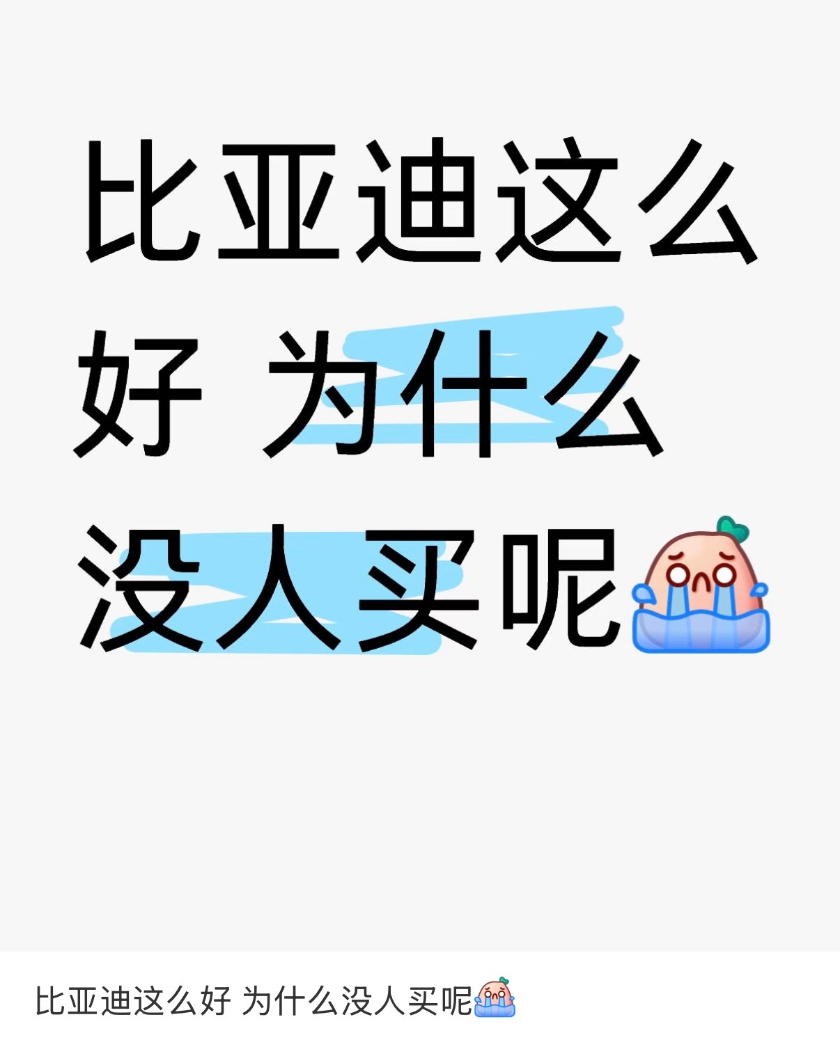 这就有点尬黑了吧，比亚迪一个月几十万辆的销量，你说这叫没人买啊，那什么车有人买