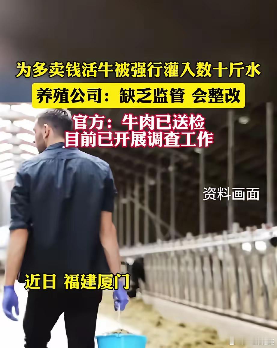 一觉醒来，经常吃牛肉的人沉默了!​近日，福建厦门，有市民爆料称在一处高速大桥下存