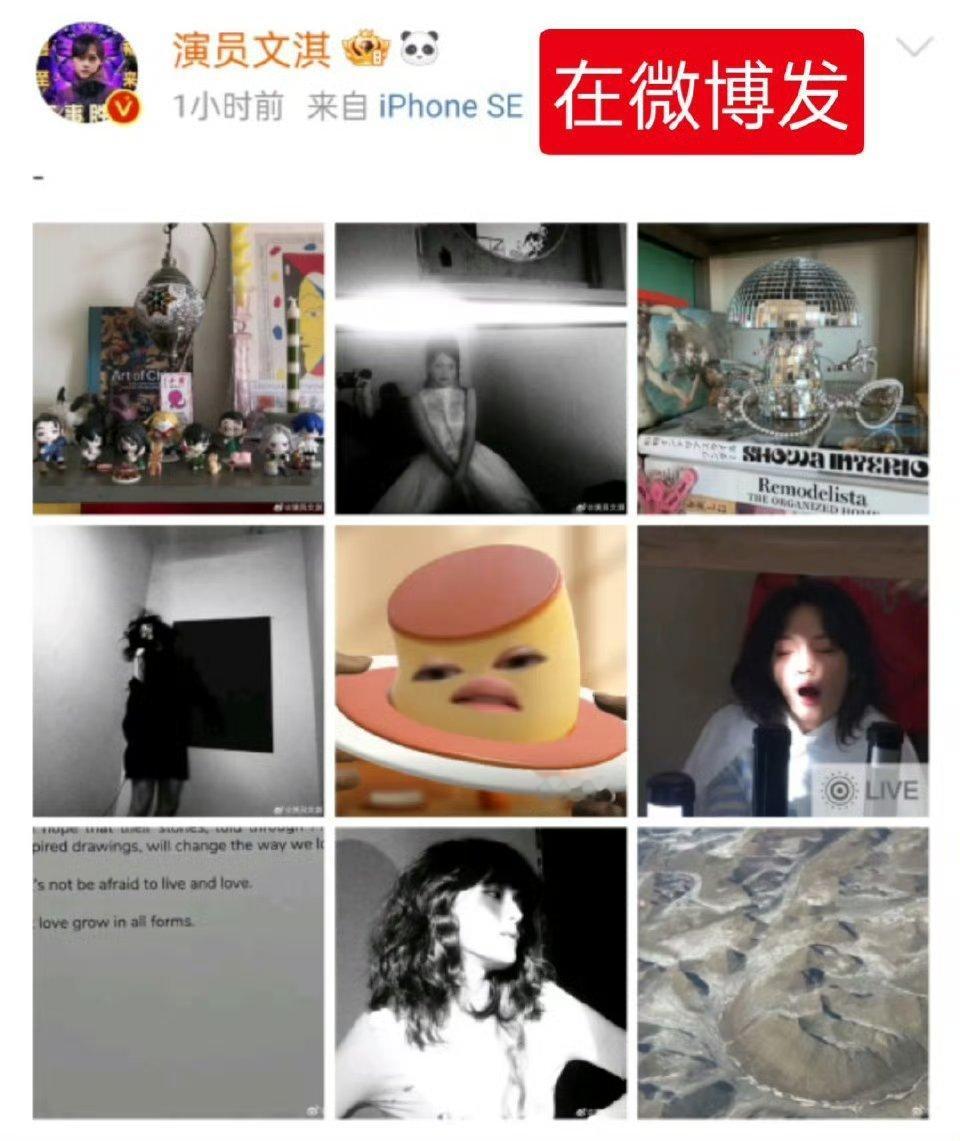 文淇也在被论文折磨 文淇在微博vs在ins，女明星也被论文折磨[允悲] 