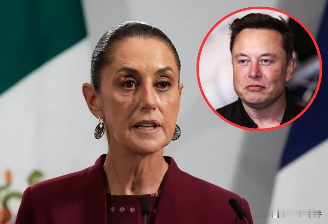 简体中文翻译
 
墨西哥总统克劳迪娅·辛鲍姆宣布，在亿万富翁埃隆·马斯克公开指控