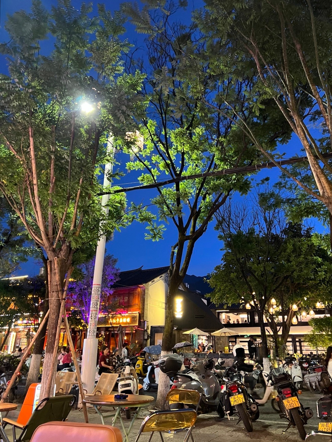 是夏夜有风刮过 