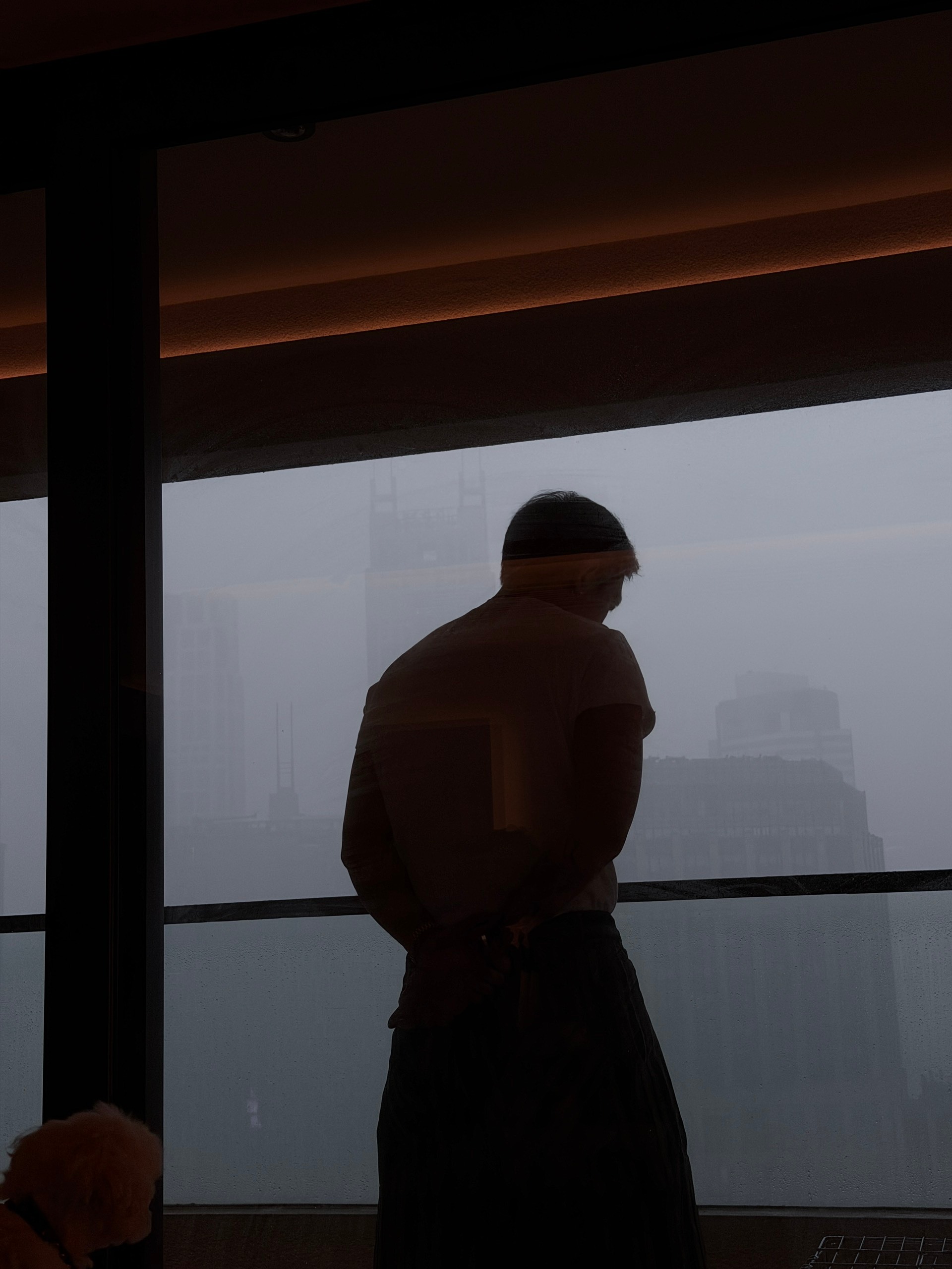 洋哥不会落泪，所以上海下起了暴雨。 