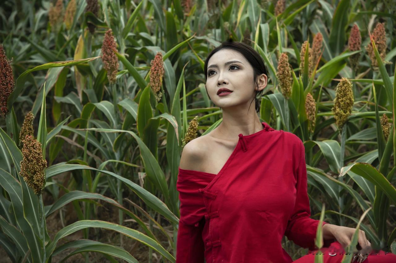 易中天先生言辞犀利地说:“感什么恩?感谁的恩?命是爹妈给的，钱是起早贪黑挣的，书