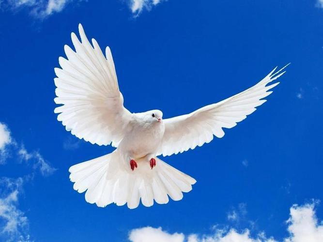 战争不可控，中国之所以不对菲律宾、越南甚至印度轻启战端，并不是我们打不赢这些国家