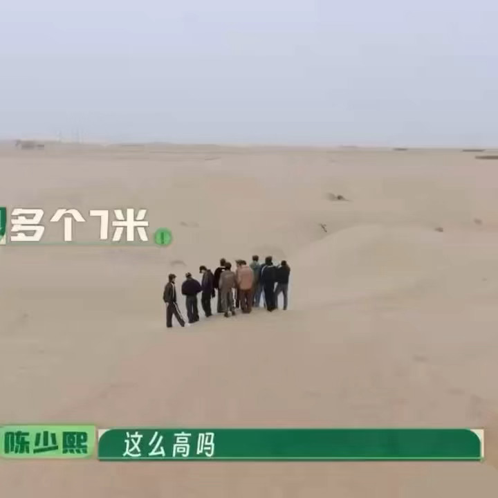 陈建斌说推沙是新时代的愚公移山种地吧漫天黄沙里推了一天，脸上身上全是土，只为把沙