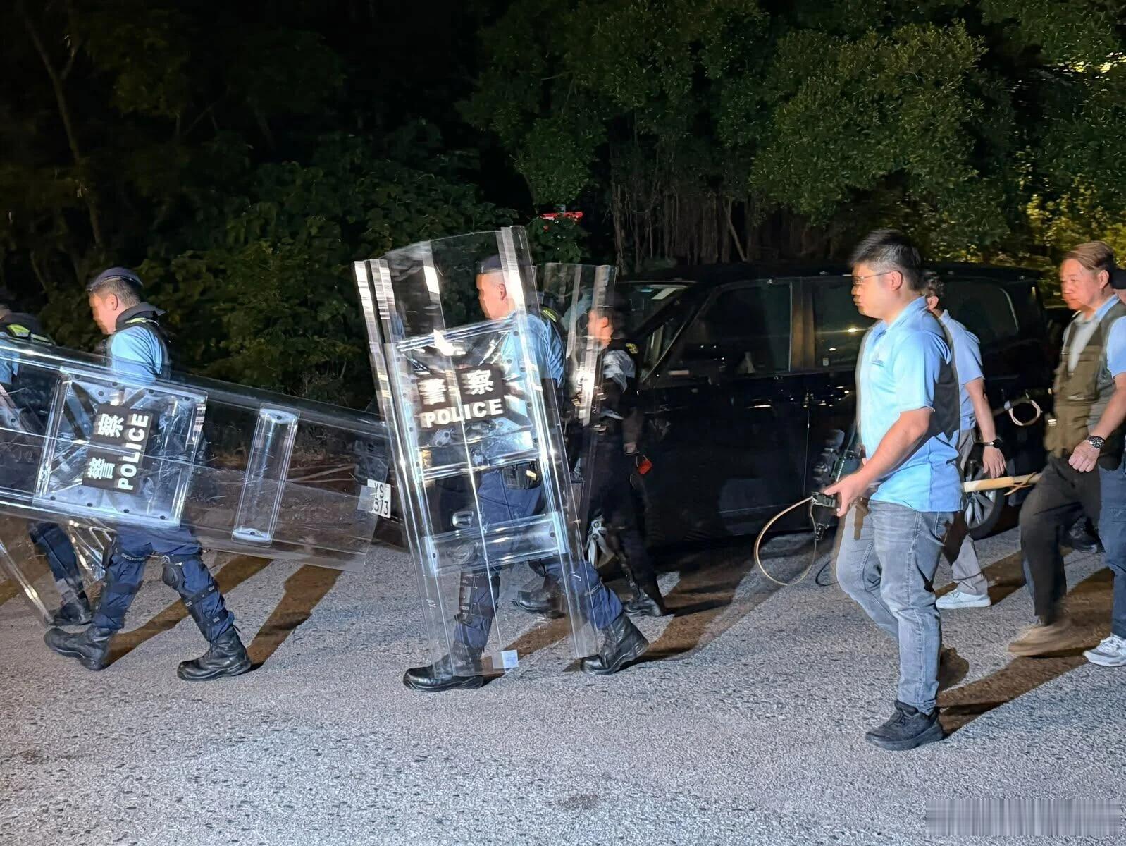 香港女子被狗咬死后，动保组织呼吁勿污名化流浪狗及野猪元朗27岁香港女子被野狗撕咬