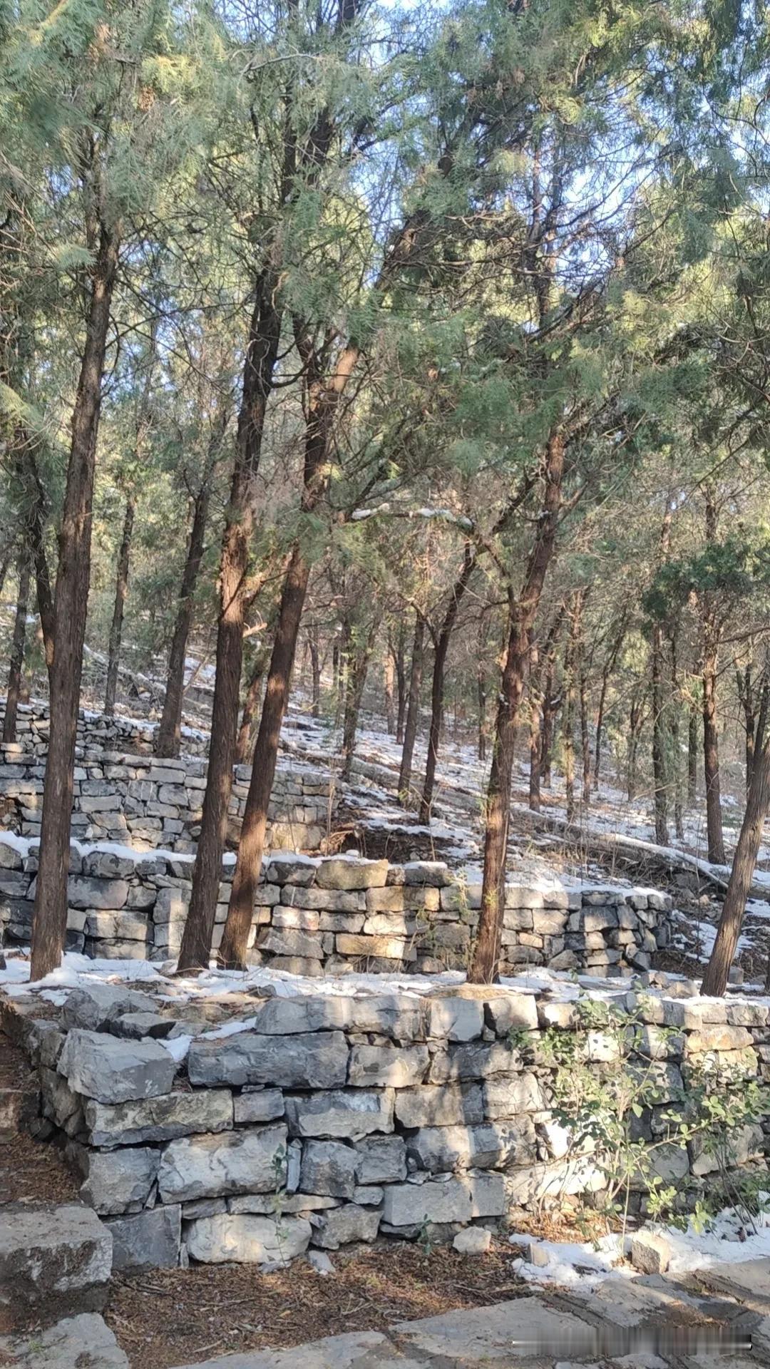 生活万般美好。鱼汤在灶上咕嘟咕嘟炖着，孩子在写作业，老公在看资料。猫咪在墙角太阳