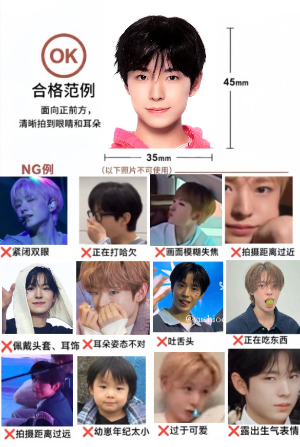 yushi要带猫咪去拍证件照的请注意了！！ 