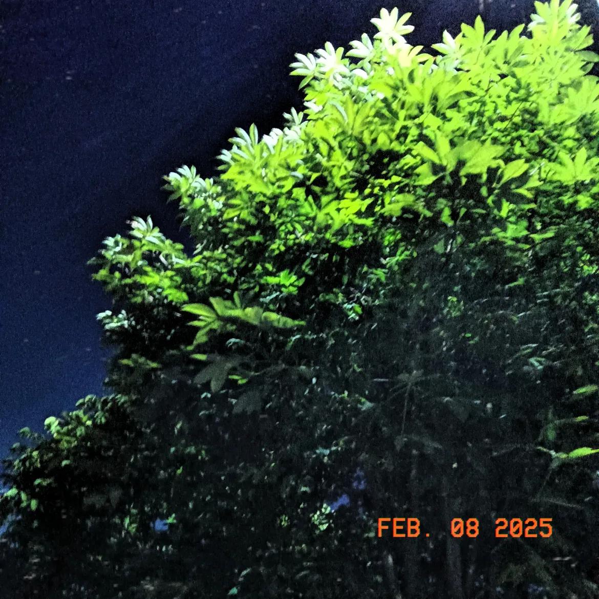 上联:雪落千山静
下联风吹万幕绿