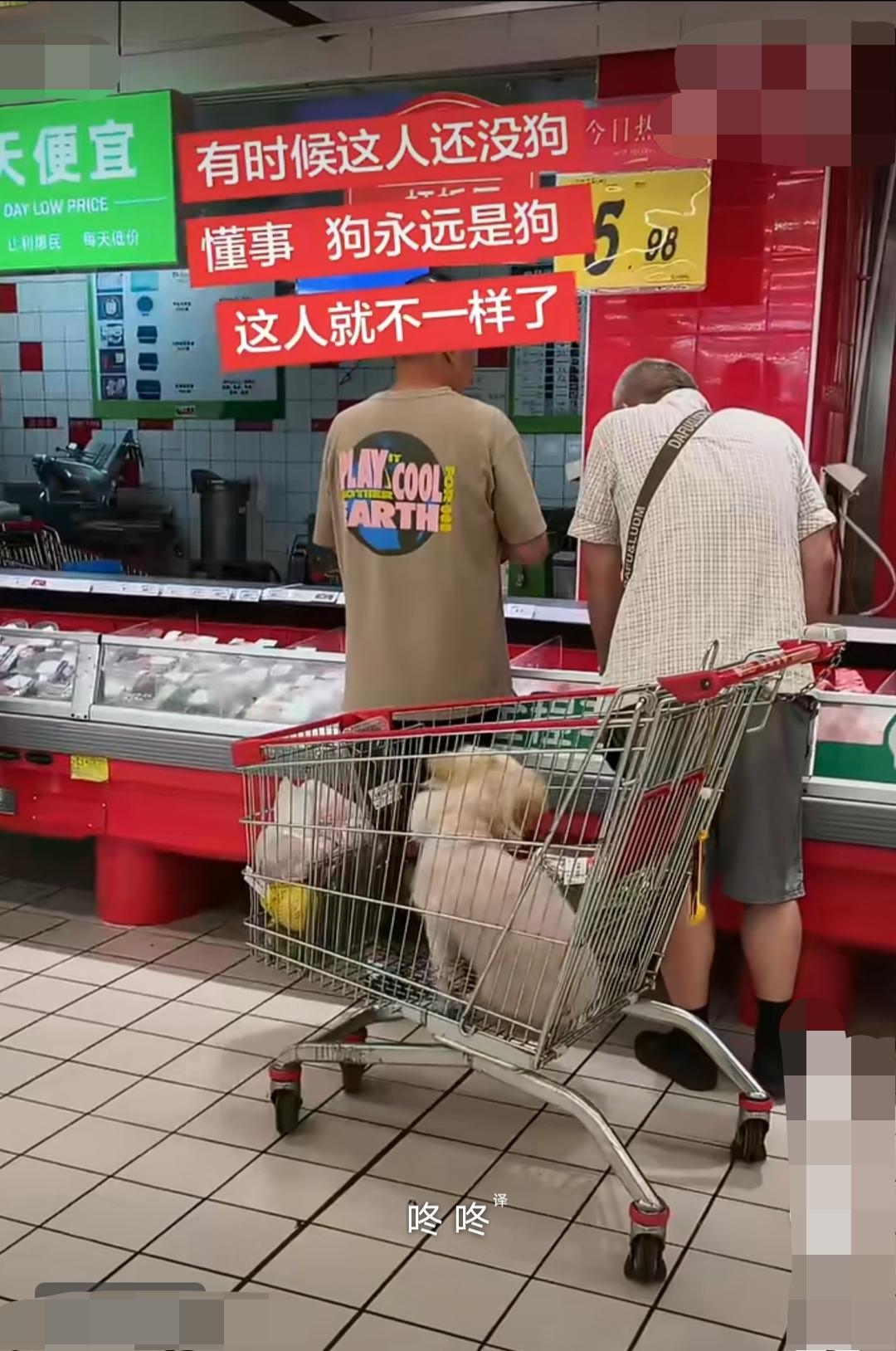 江西九江，一连锁超市内。一名男子直接把宠物放进公共购物车内带进超市，有顾客看到后