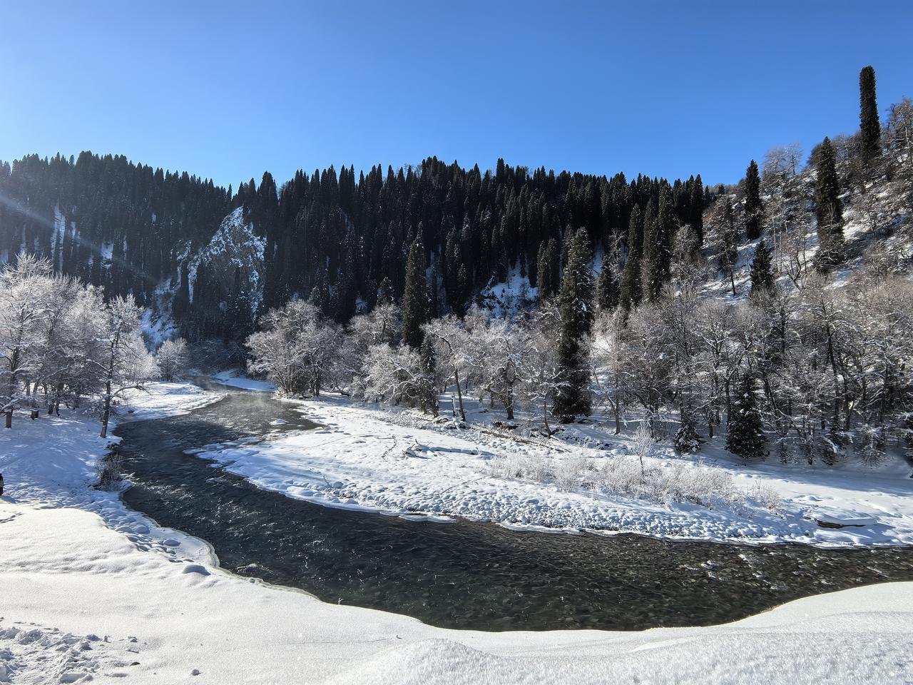 胡杨沟是好风光
12.30和巩留县的“山王”叶尔肯相约一块进入到胡杨沟游玩。
这