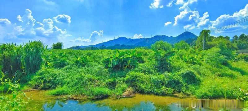 一山一水一风景，请君赐墨添彩，半俗半禅半随缘！[笑哭]